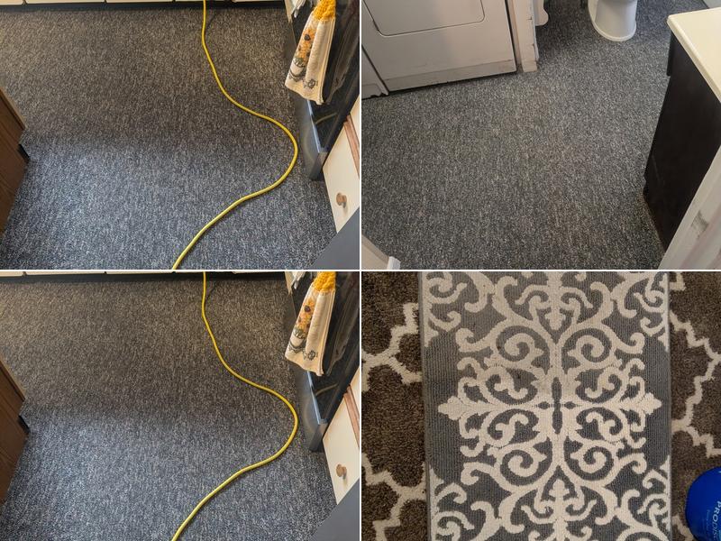Hertleins Carpet and Upholstery Cleaning