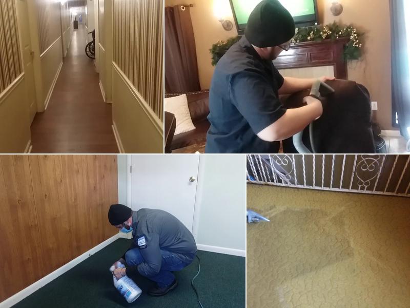 Services Etcetera Carpet & Upholstery Cleaning