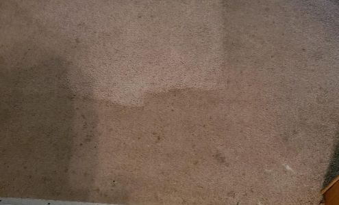 Pink Puppy Carpet Care