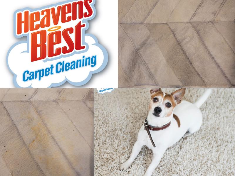 Heaven's Best Carpet Cleaning Northwest