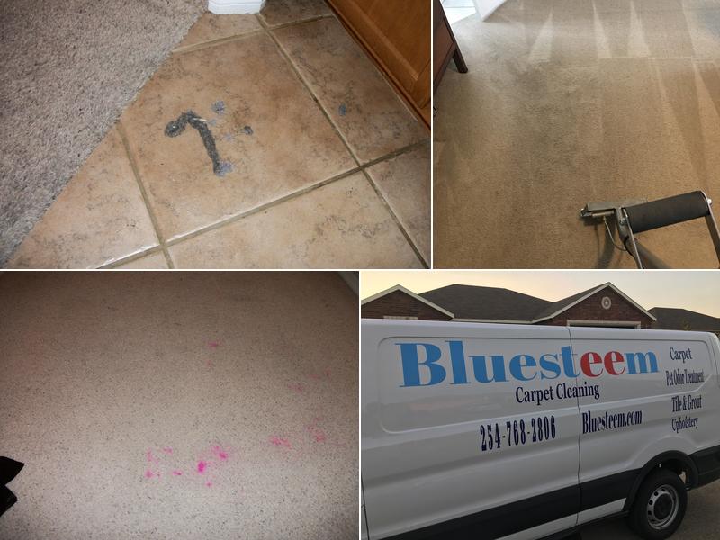 BLUESTEEM CARPET AND FLOOR CARE
