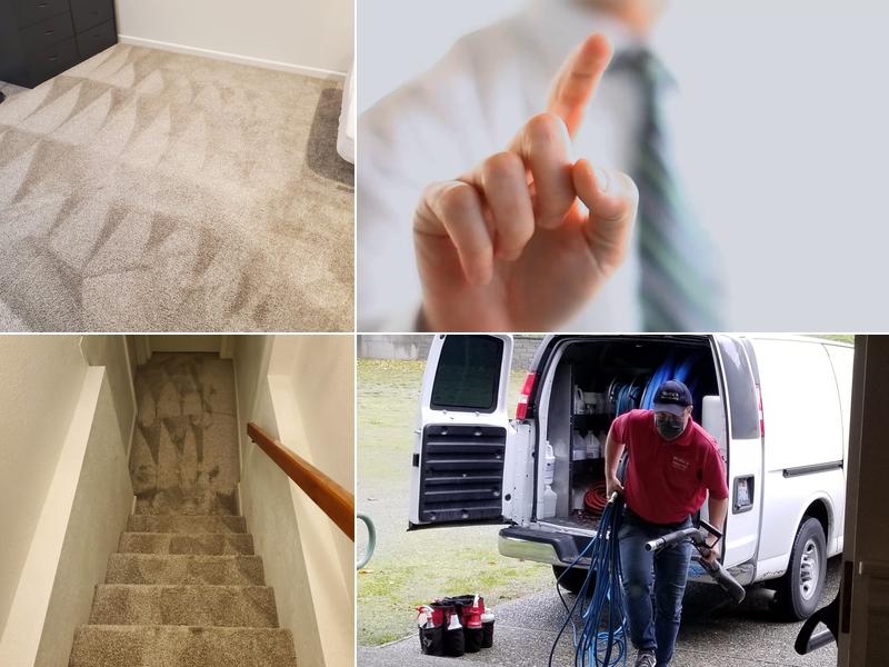 Wolfe's Carpet & Upholstery Cleaning