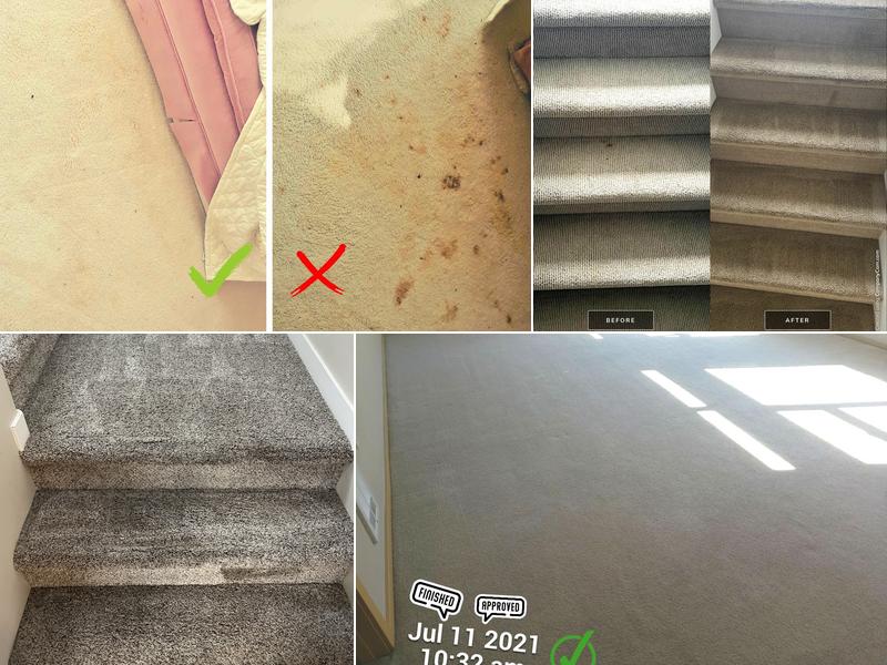 ASAP Carpet Cleaners