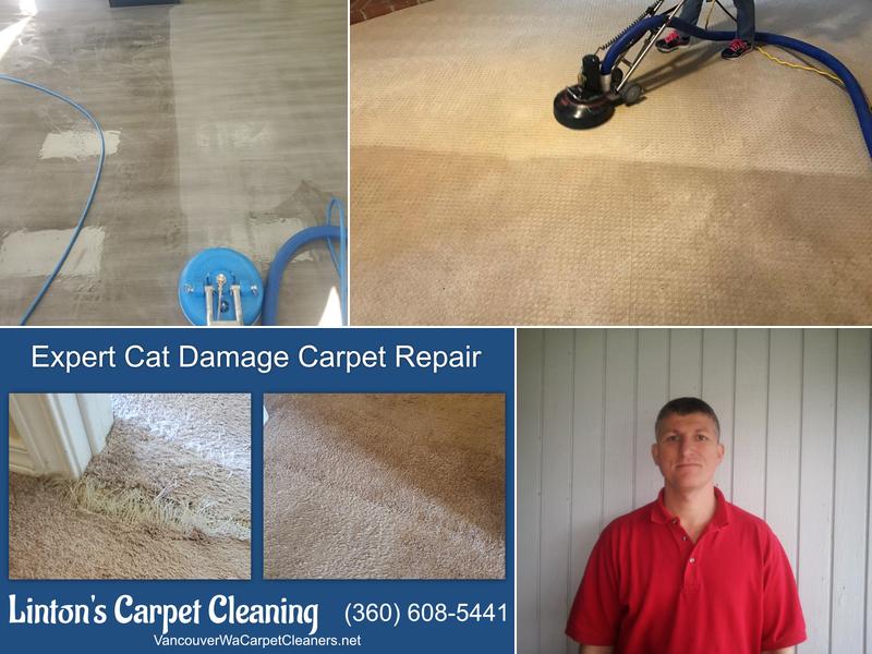Linton's Carpet Cleaning