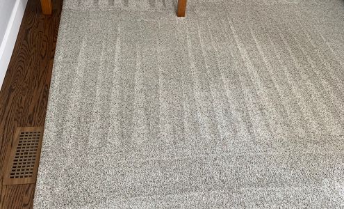 SaniClean Dry Carpet Cleaning