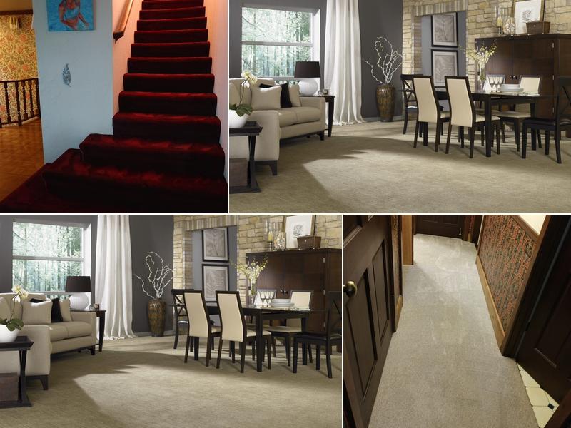 Merrill's Carpet Cleaning