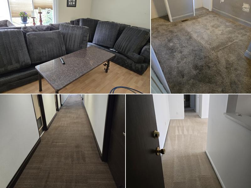 Crown Carpet Cleaning