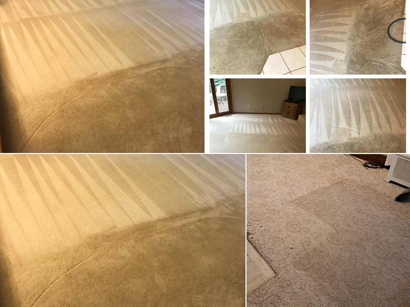 Carpet Cleaning Solutions LLC