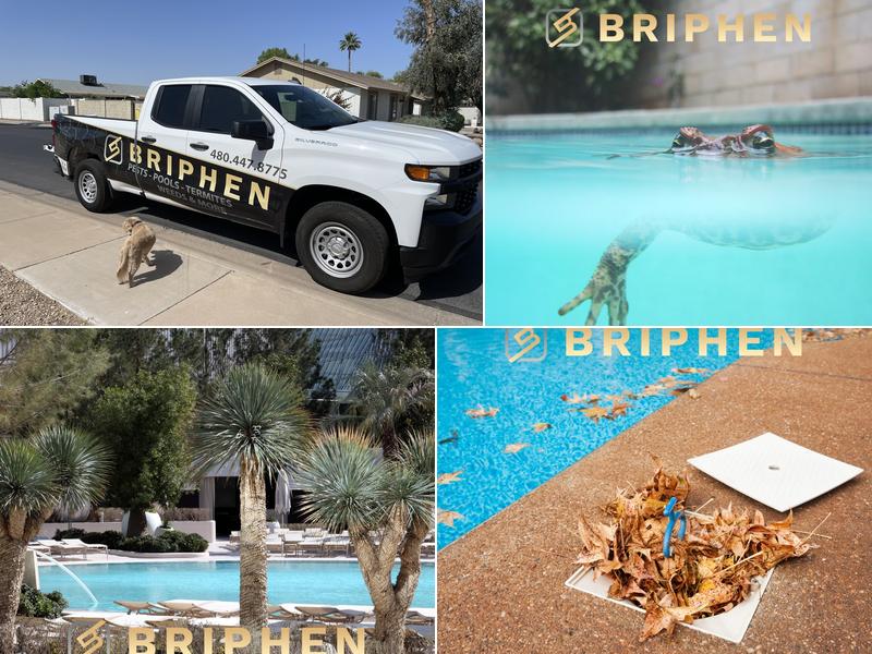 Briphen Pool Cleaning & Pest Control