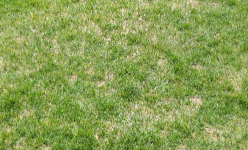 Express Print Pack Ship