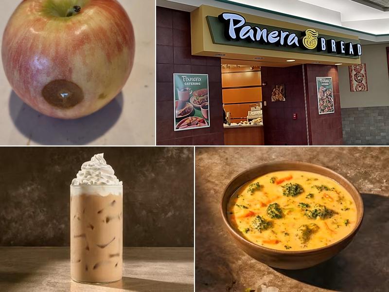 Panera Bread Menu