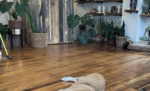 Heavenly Creatures Salon