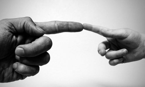 Dr. Stephen Vallecorse D.C.