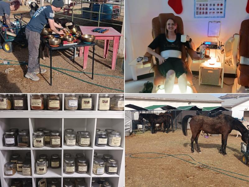 Natural Vibes Wellness and Nutrition Center