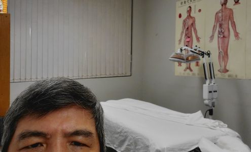 Qi Alternative Acupuncture Clinic