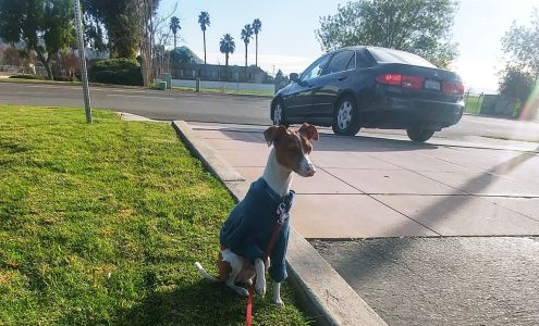 Majestic Cuts Barber Shop 22310 Barton Rd # D, Grand Terrace California 92313