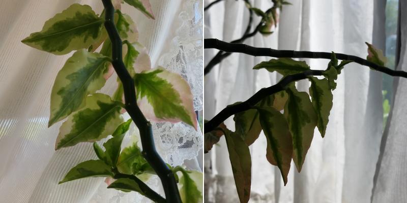 Superb Air Duct Services