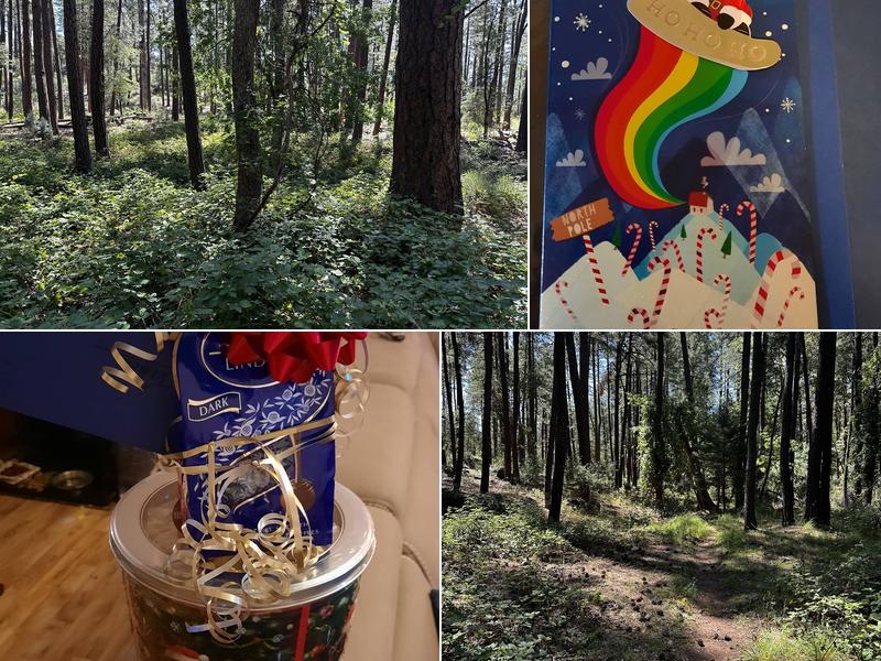 Archibeque's Everything