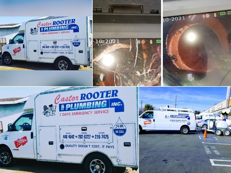 Castor Rooter & Plumbing