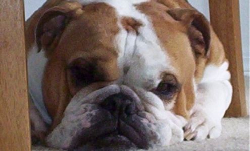 Arnold's Air Conditioning & Heating Services