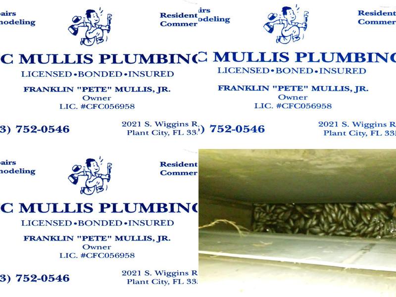 FC Mullis Plumbing