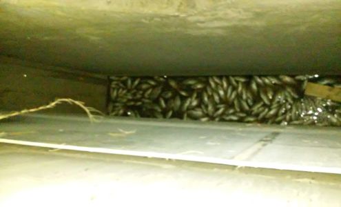 FC Mullis Plumbing 2021 S Wiggins Rd, Plant City Florida 33566