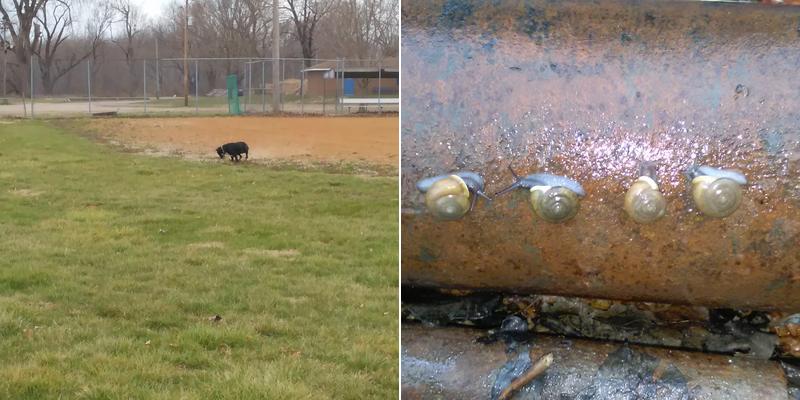 Collins Plumbing & Heating