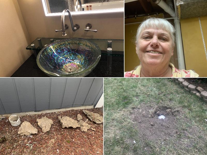 Neighborhood Rooter express