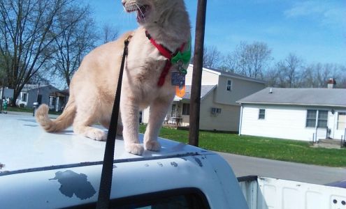 Mc Dougalle Water & Sewer Services