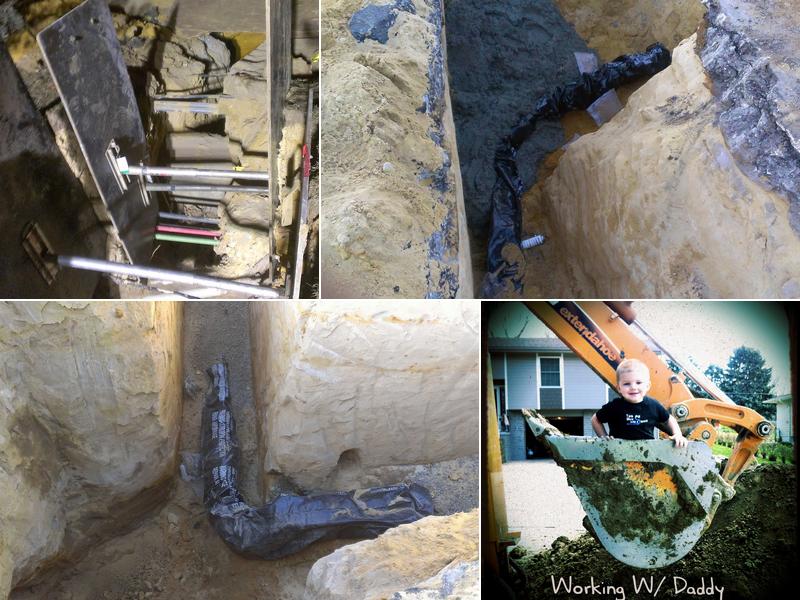 Two Men And A Snake Inc