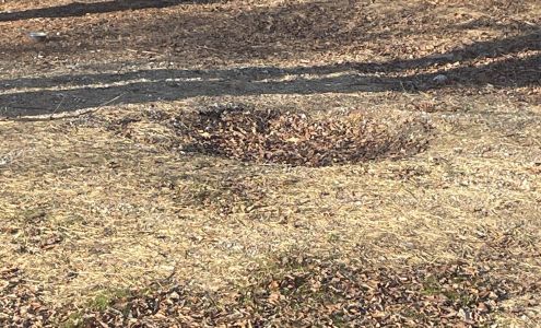 Mitchell Plumbing & Heating