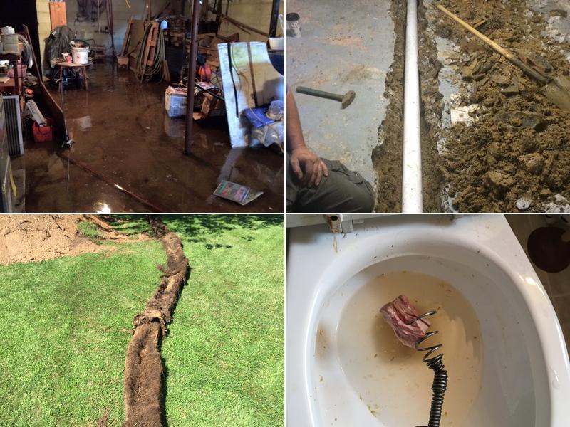 Hashimoto Sewer Service