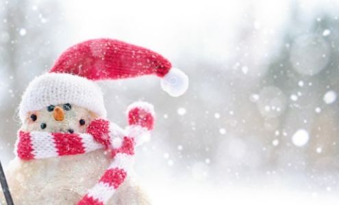 Northern Lights Small Engine Repair LLC Bowman