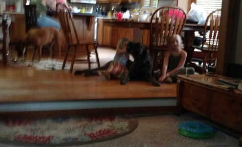 Raven Plumbing 9112 Raven Oaks Dr, Omaha Nebraska 68152