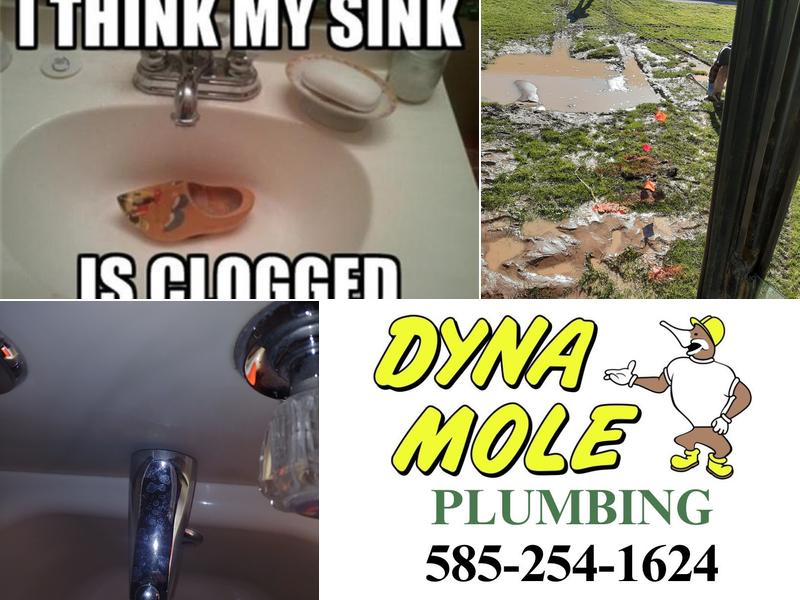 Winseman Mechanical Inc. DBA Dyna Mole of Rochester