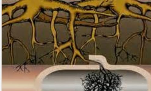 Any Drain Unplugged $49.95 Starting @ Drain and Sewer Cleaning