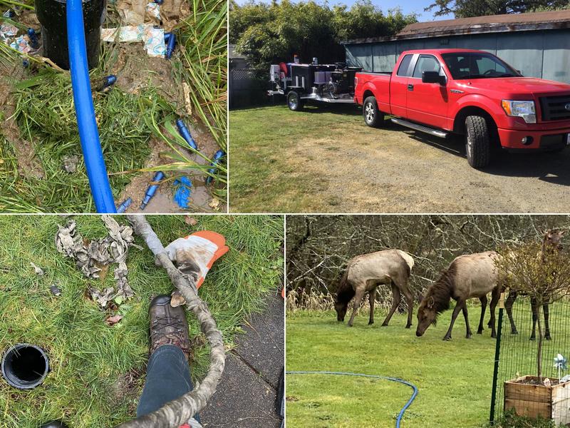 Coastal Drain And Sewer