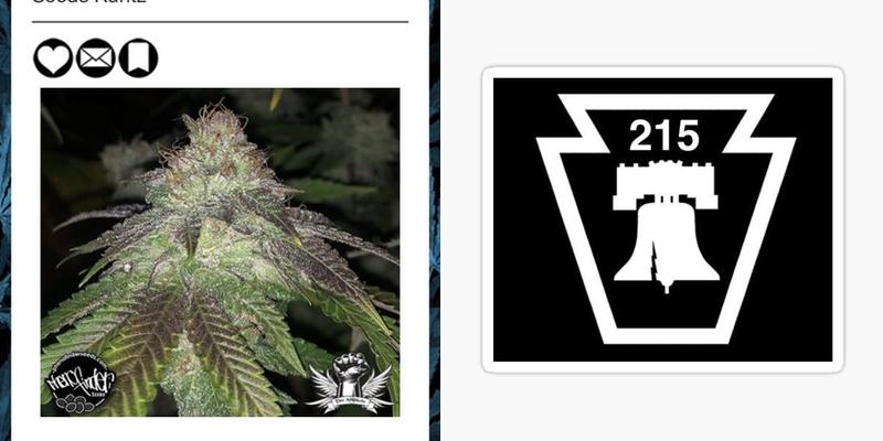 Daley Plumbing & Heating Co