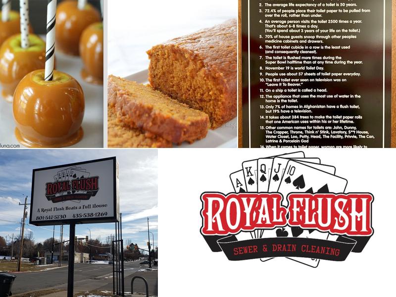 Royal Flush Sewer and Drain Cleaning