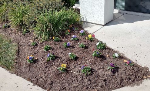 Comfort Systems of Virginia, Inc.