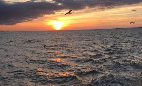 Rose's Plumbing Service Inc 1165 Cottontown Rd, Strasburg Virginia 22657