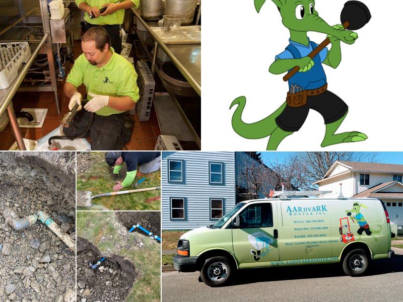 Aardvark Rooter Inc