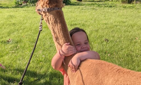 Silver Bell Hollow Illinois City