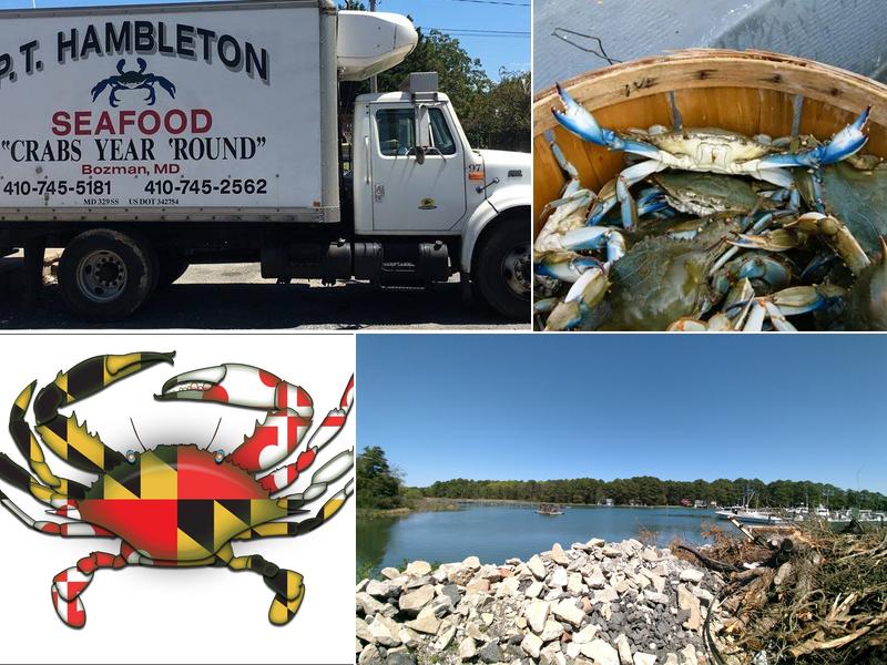 PT Hambleton Seafood