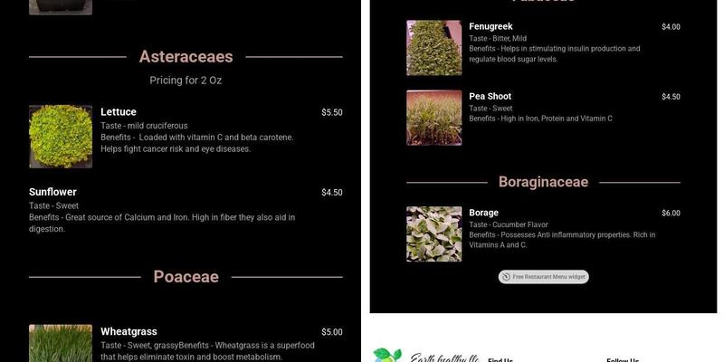 Earth Healthy LLC Menu
