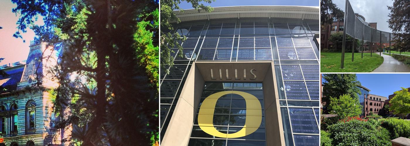 Lillis Business Complex