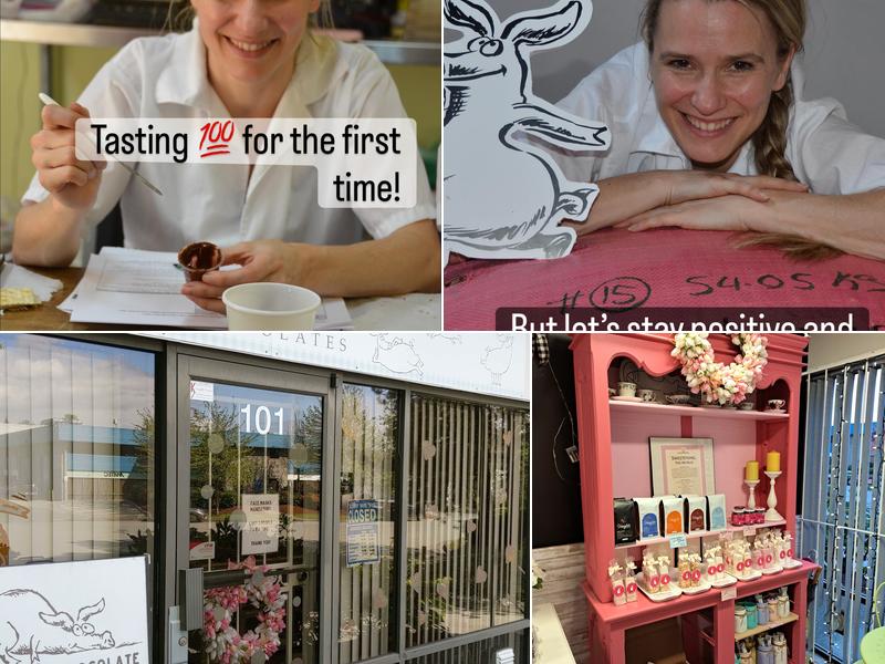 Truffle Pig Chocolate