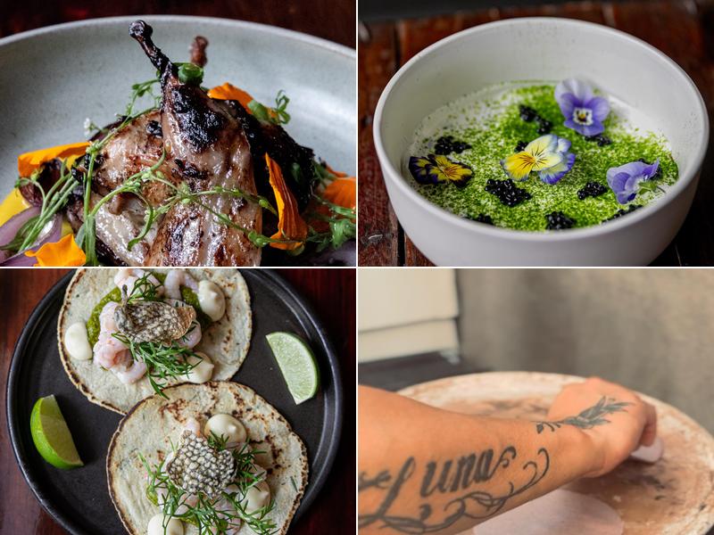 Alma 1231 Av. Lajoie, Outremont