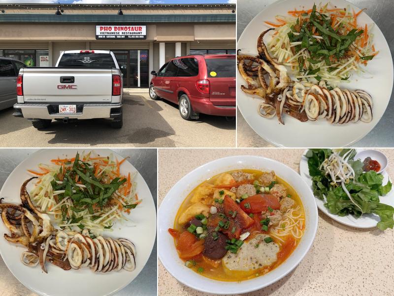 Pho Dinosaur 1102a AB-9, Drumheller