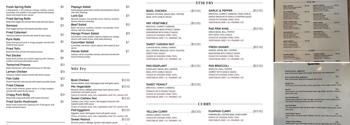 Vanda Orchid Thai Bistro Menu